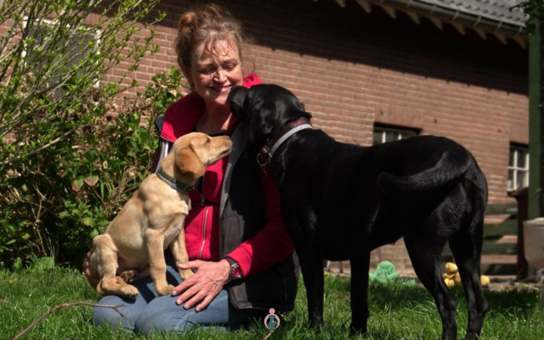 Senior Dog Tales – Episode 8: Is Now the Right Time for a Puppy?