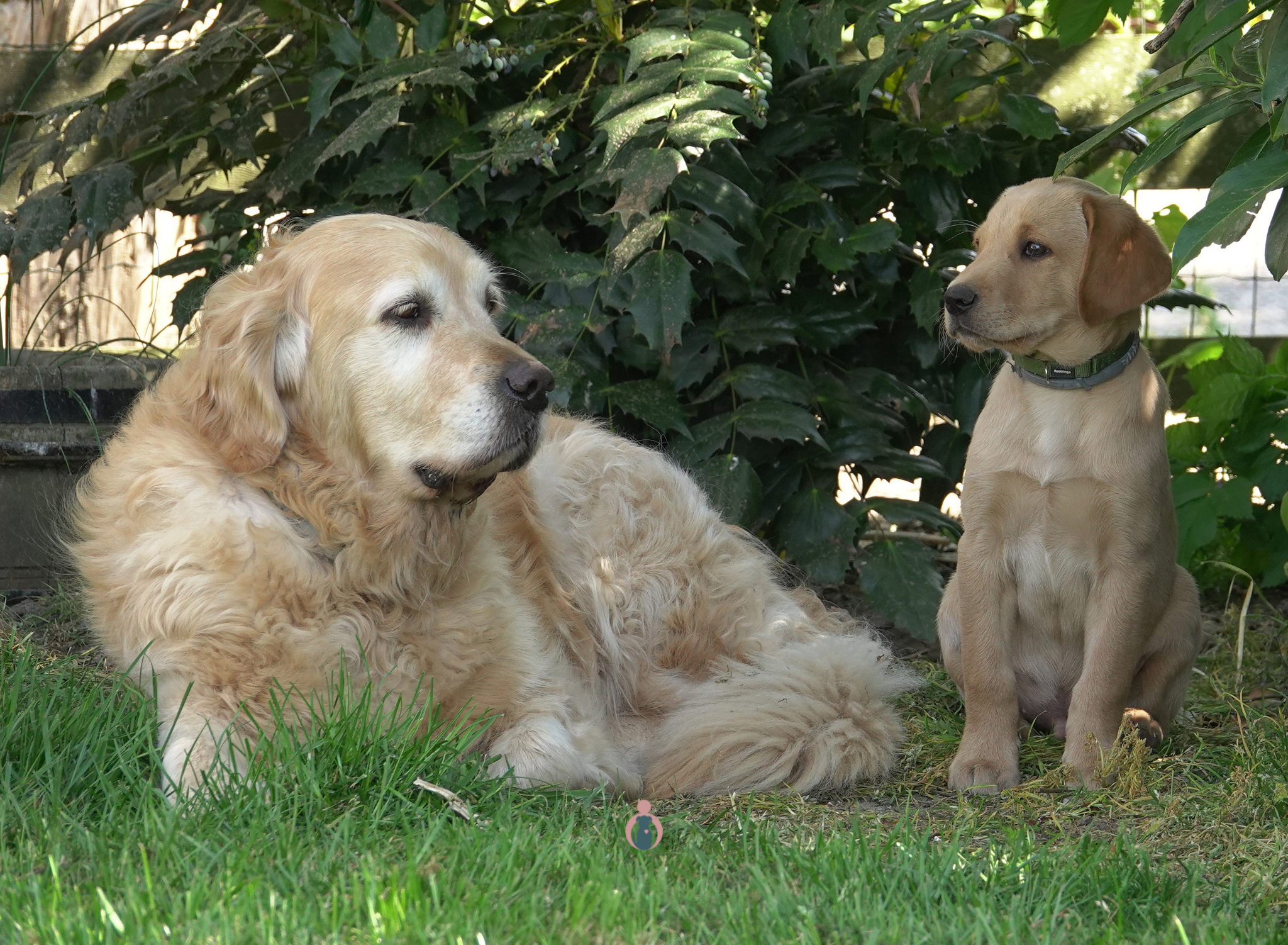 Heerlijk samen