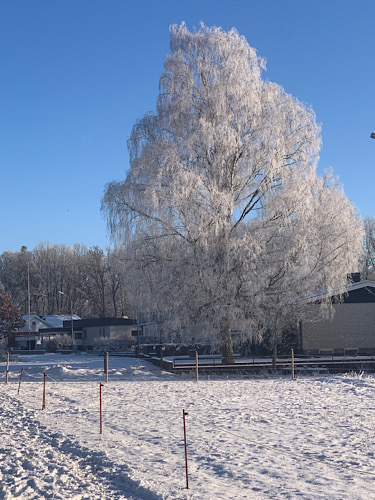 Monatsrückblick Januar