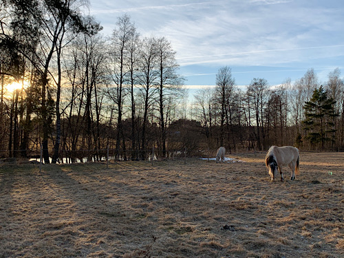 12 von 12 im März 2022