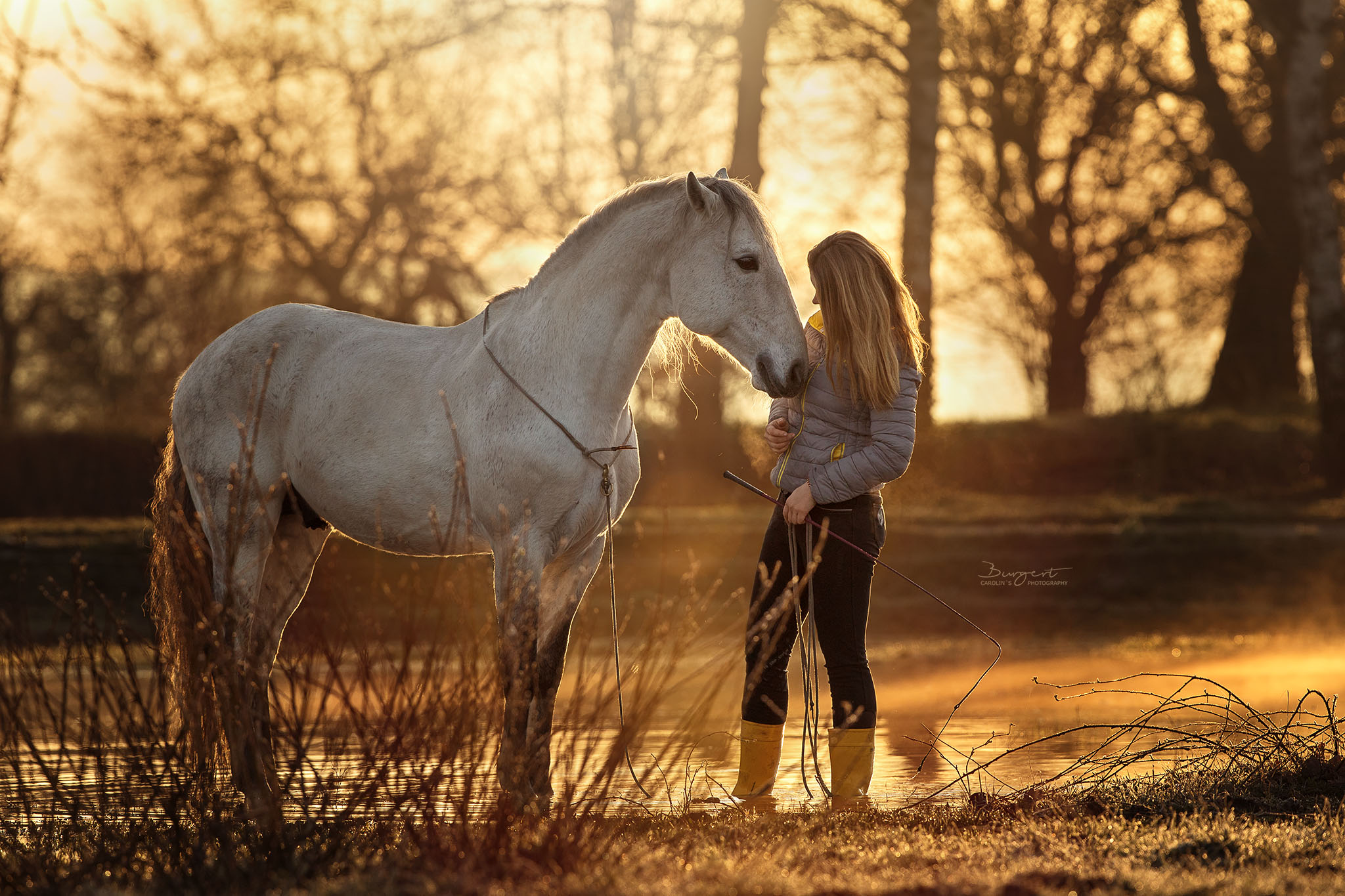 Stilles Miteinander am Morgen, Sonnenaufgang mit Pferd
