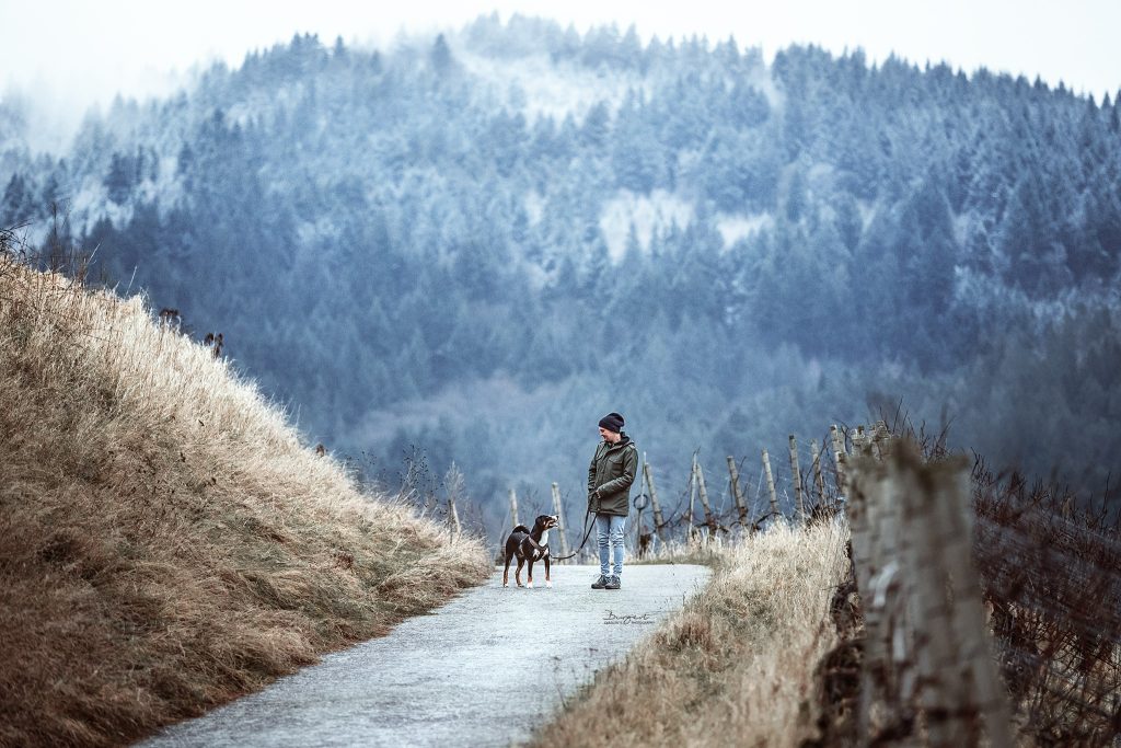 Apenzeller Hündin mit Besitzerin im Schwarzwald