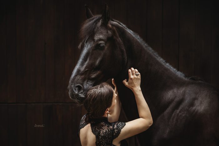 Frau krault ihr Pferd und dieses krault mit Liebe zurück