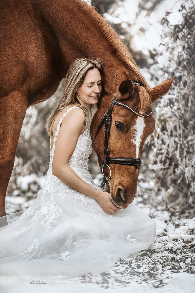 Pferdeshooting Brautkleid Hochzeit After Wedding