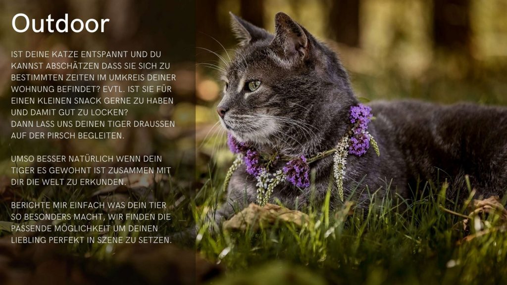 Title-Section-and-Description-Page_katze_hp