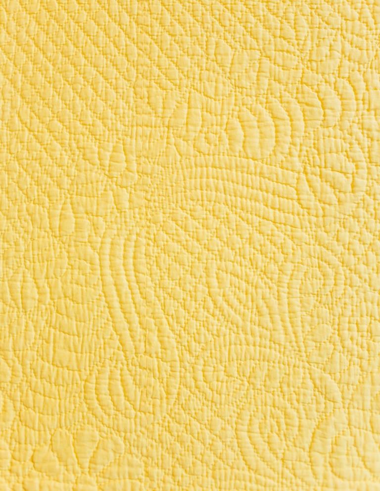 Ostrich feather sprays stitched onto yellow fabric