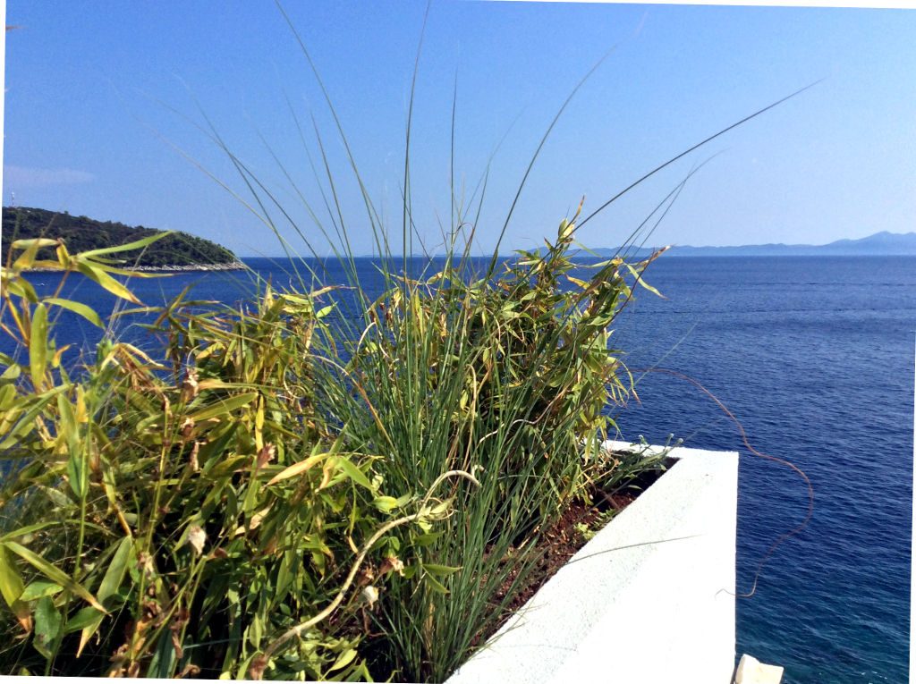 luxury villa close up planter sea view
