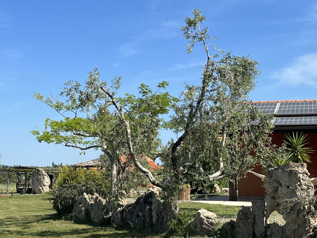 Villa Serenitas terrazza