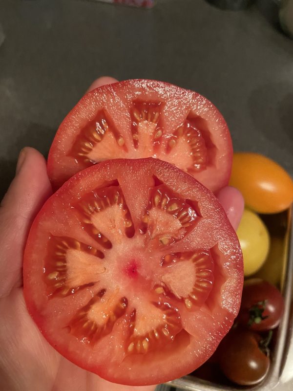 Tomaten Marmande skuren på mitten.