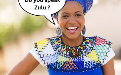 Do you speak Zulu? The languages of South Africa.