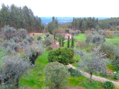Moradia T6 Murganheira/Arganil