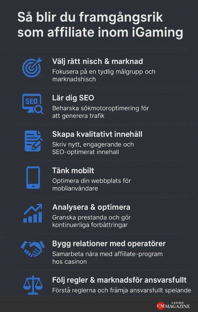 framgångar som casino affiliate infografik