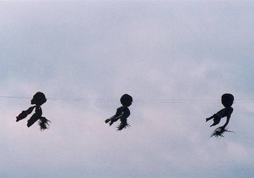 Cathérine Claeyé In Situ Cabbages for Kiddy