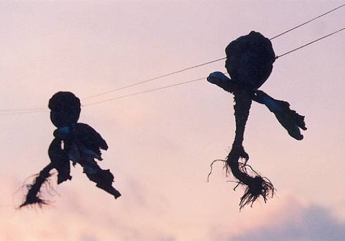 Cathérine Claeyé In Situ Cabbages for Kiddy