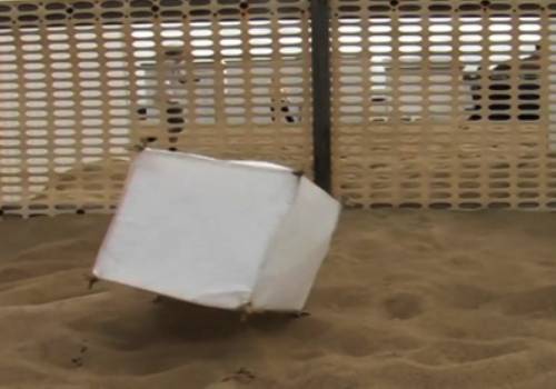 Cathérine Claeyé Videos The Journey of a White Cube