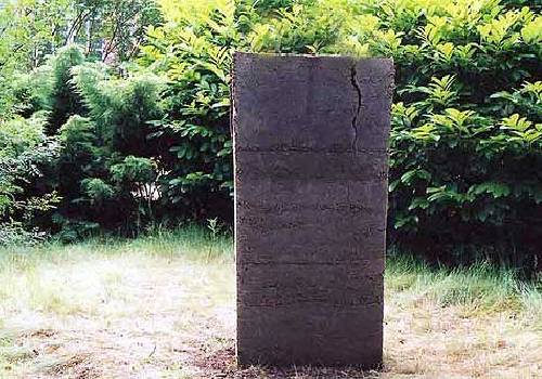 Cathérine Claeyé In Situ Raised Earth