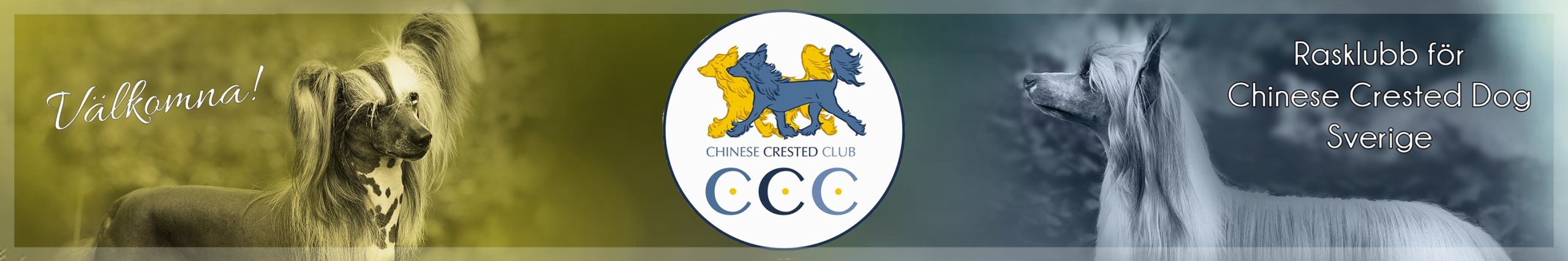 CCC Banner