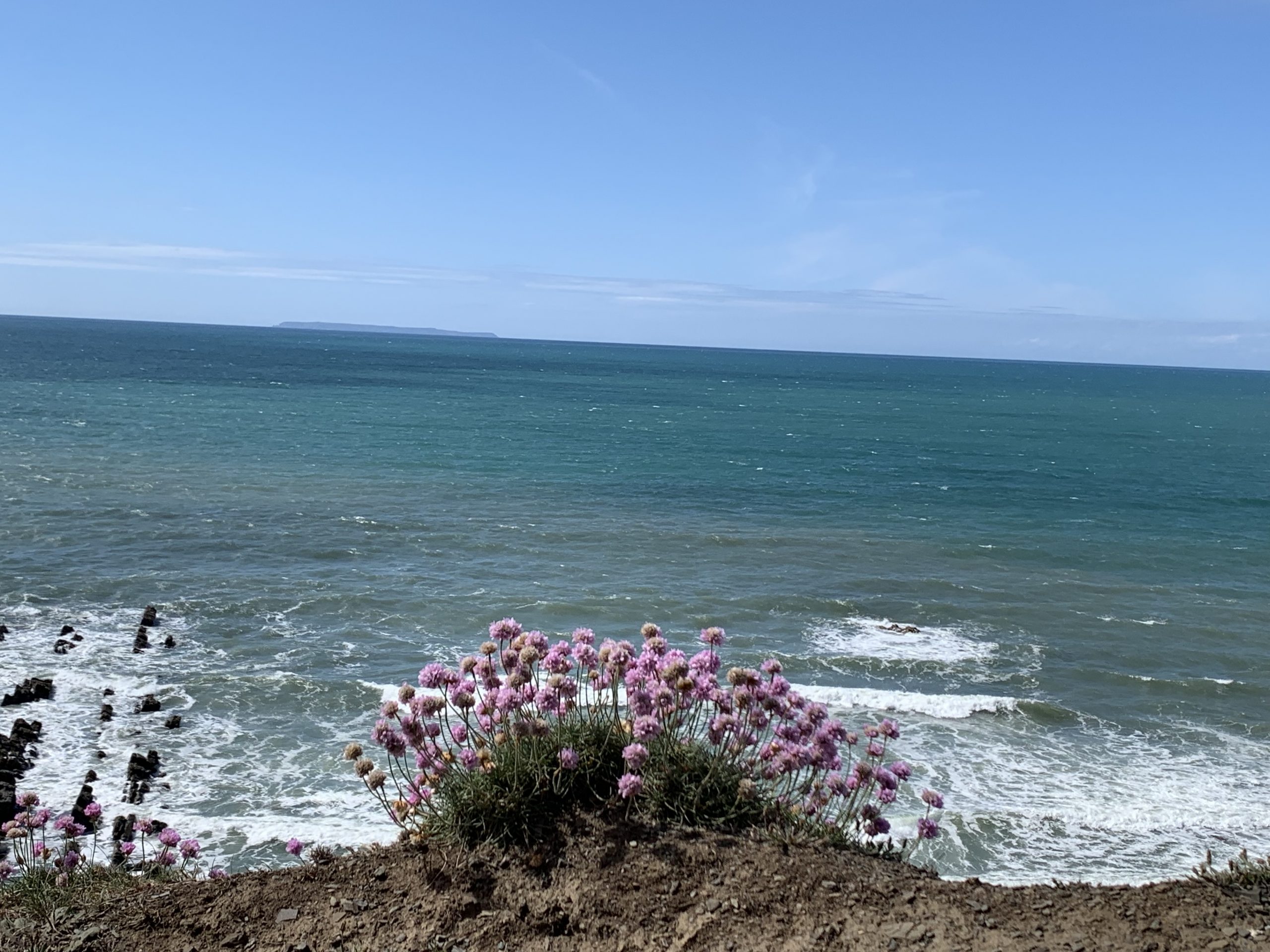 Blog post without image