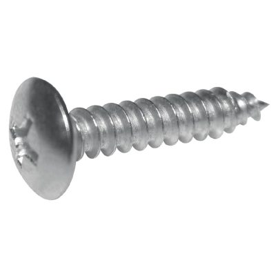 Buffalo Stainless Steel Screws