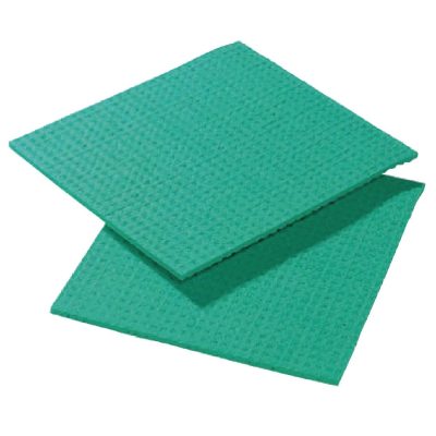 Spontex Spongyl Green (Pack of 10)