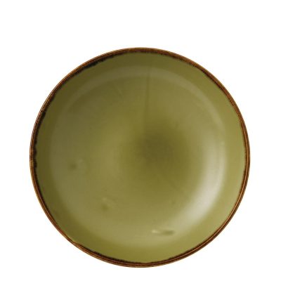 Dudson Harvest Evolve Coupe Bowls Green 248mm (Pack of 12)