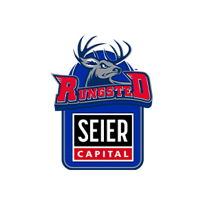 Seier Capital