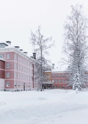 Här brände de revbenen på dem som hade dött. Sanatoriet i Sandträsk i SvD