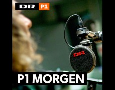 DR: P1 Morgen: ‘Skal kønsforskelle udviskes eller blive?’ Debat med professor Henrik Høegh-Olesen fra Århus Universitet