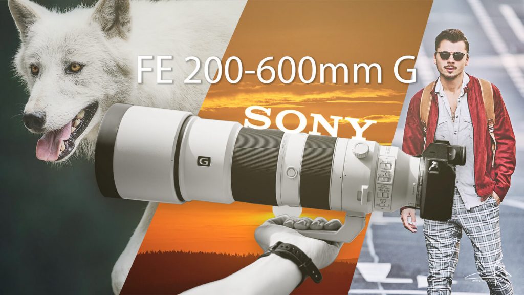 Review Sony Fe 0 600 Mm F5 6 6 3 G Oss Cedric Paquet Photography And Videography