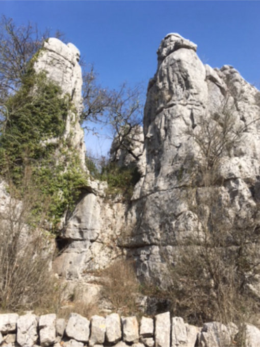 Pictuer of the stone forest Bois de Païolive