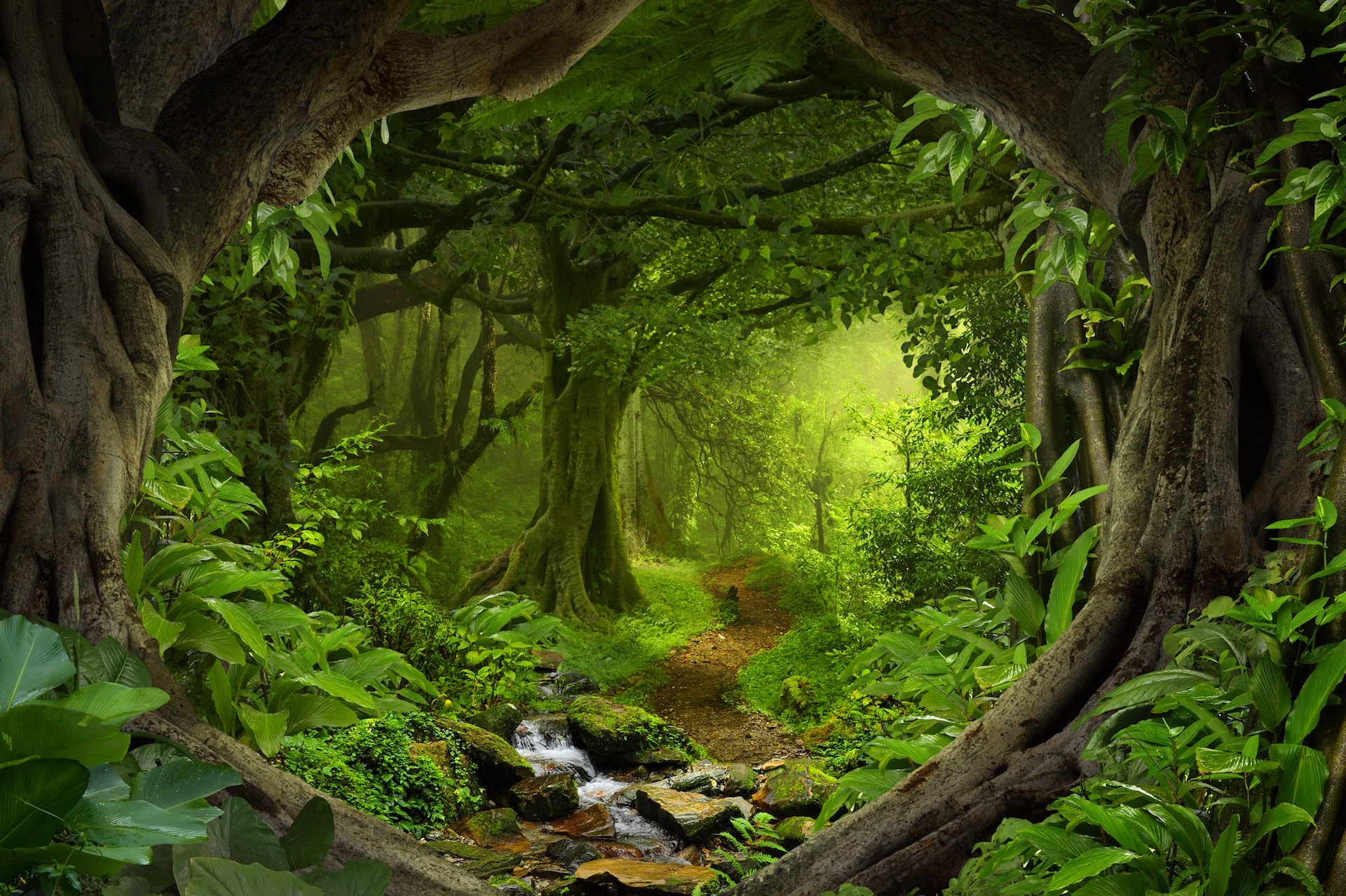 nature_540585358