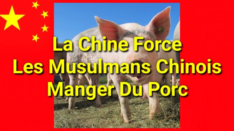 La Chine force les musulmans chinois à manger du porc