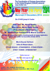 NYE_2014_Party_FR