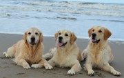 Dixie in het midden met links oma Gina  en rechts halfzusje Hannah