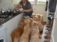 wachten op het eten