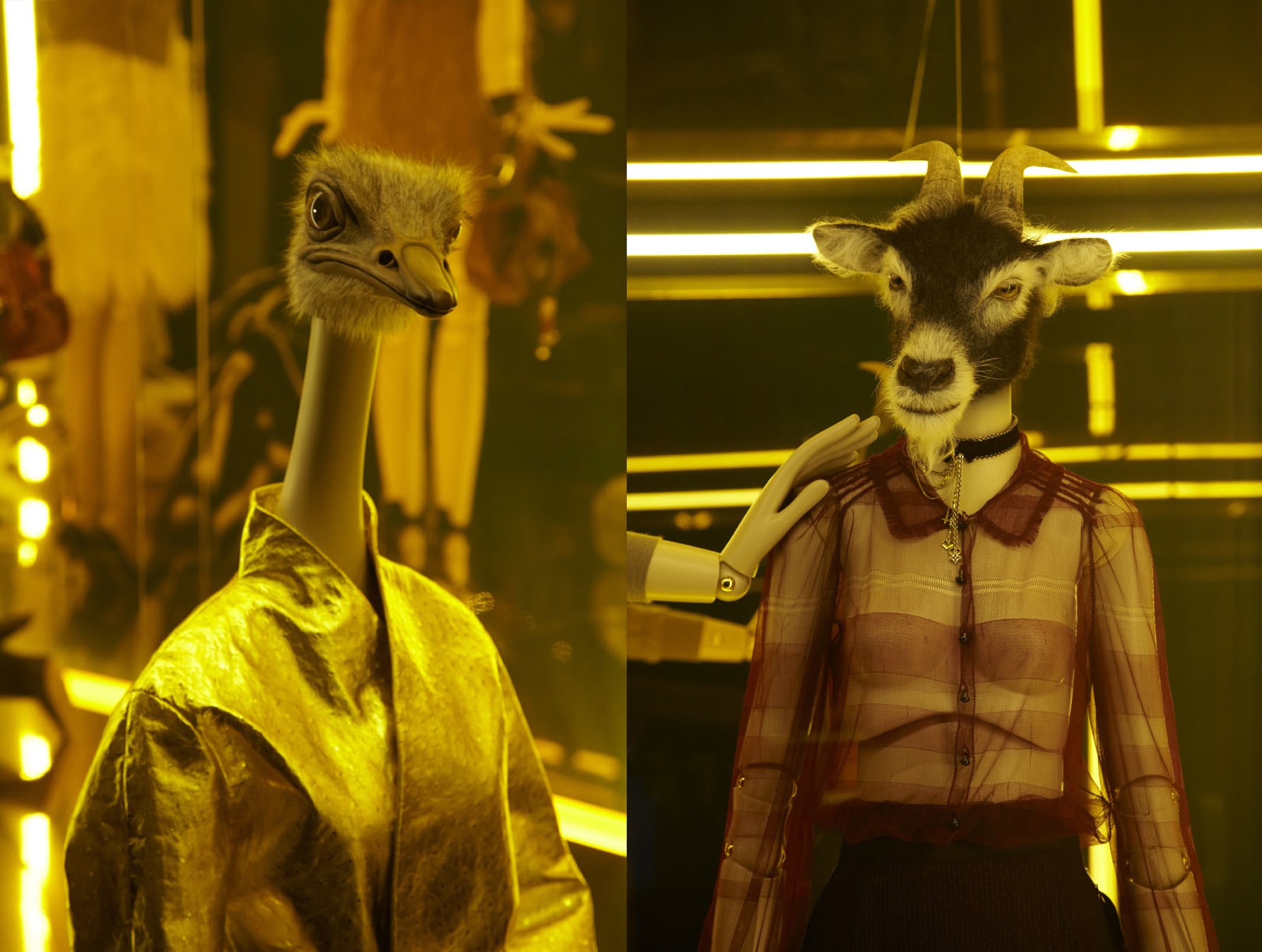 LOUIS VUITTON Curiosity Animals - Chameleon Visual - London creative agency