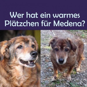 Medena 11-2016 in Nordrhein Westfalen