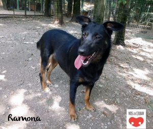 Ramona 06-2018 in Kroatien