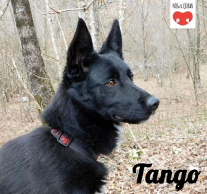 Tango (Handicap) 07-2020 in Leipzig