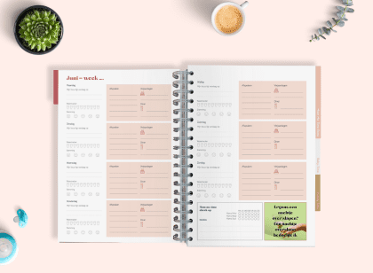 MMT planner weekpagina Juni