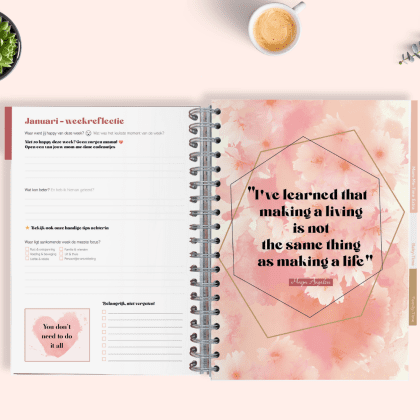 MMT Planner weekreflectie januari