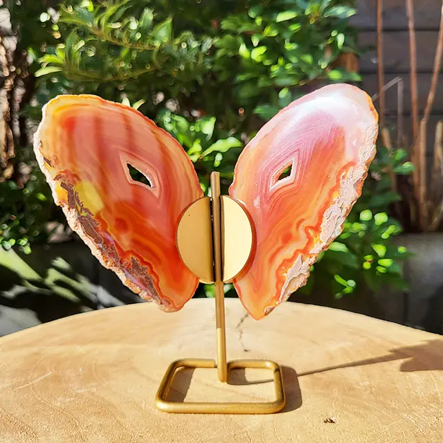 Agaat vlinder op houder oranje bruin - Afbeelding 2