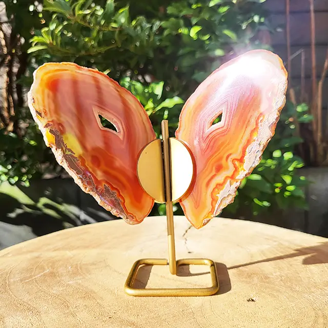 Agaat vlinder op houder oranje bruin