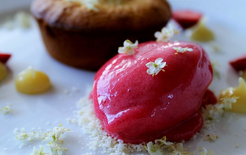 Hvide chokoladekager og ribssorbet med hyldeblomst