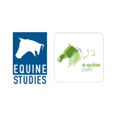 Equines Studies