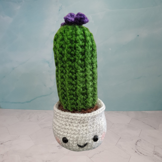 cactus crochet