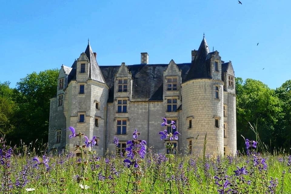 Château des Brétignolles