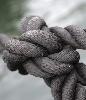 tied-up-1792237_960_720 tied-up-1792237_960_720
