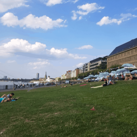 Picnic by the Rhine in Dusseldorf