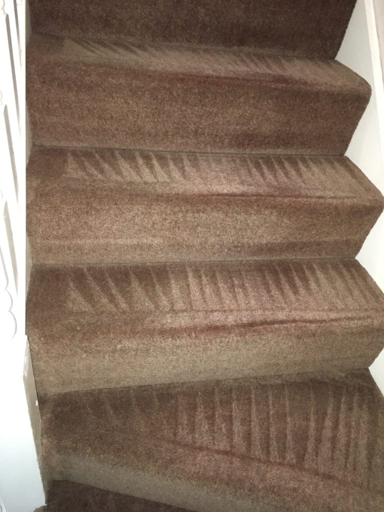 Chelmsford carpet cleaning stairs